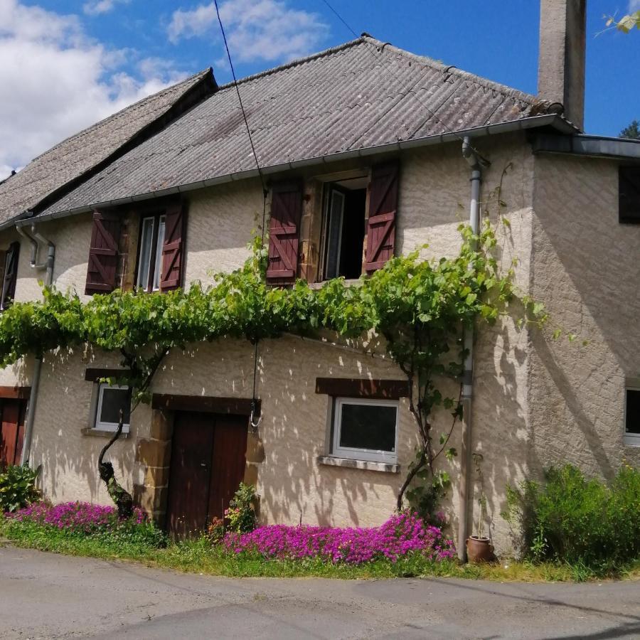 Maison familiale Voutezac Extérieur photo